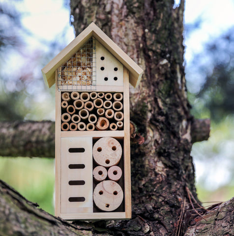 Bat, Bee & Insect Houses