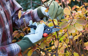 Fall Checklist to Prepare Your Yard & Garden for Winter