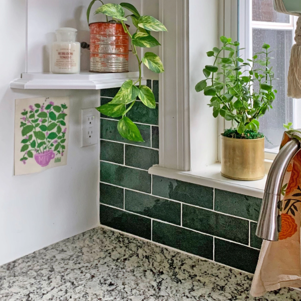 "Fresh Herbs" Sponge Cloth Set of 3- Basil, Dill & Mint