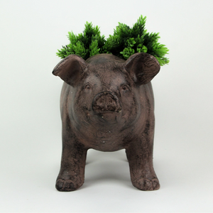 Smiling Pig Planter - Brown