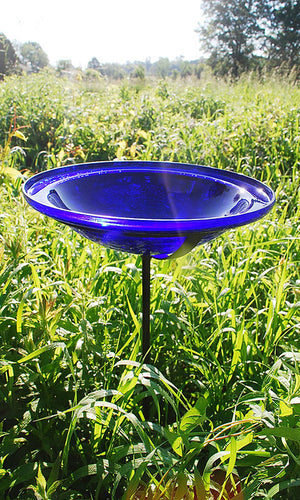 Achla Crackled Glass Bird Bath in garden Cobalt  Sunny with Thunderstorms