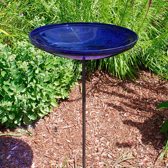 Achla Crackled Glass Bird Bath Cobalt in garden