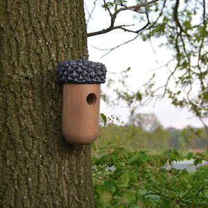 Wooden Acorn Bird House on Tree