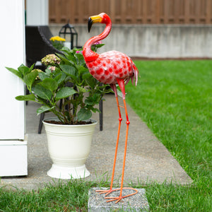 Fabulous American Flamingo Statue outdoors in yard