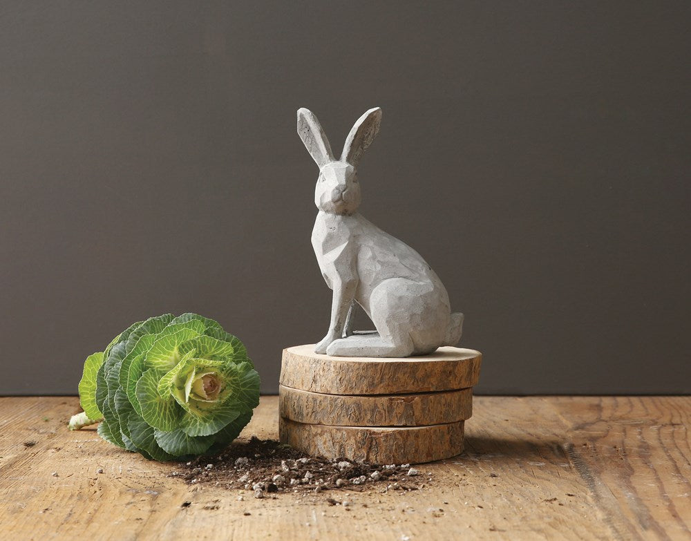 Cement Rabbit Statue on table Sunny with Thunderstorms