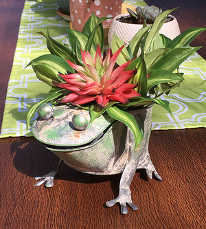 Rustic Frog Planter Sunny with Thunderstorms