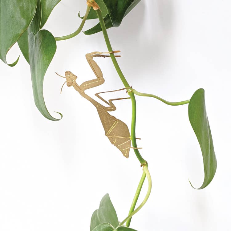 Brass Praying Mantis Planter Pot Decoration Accessory 