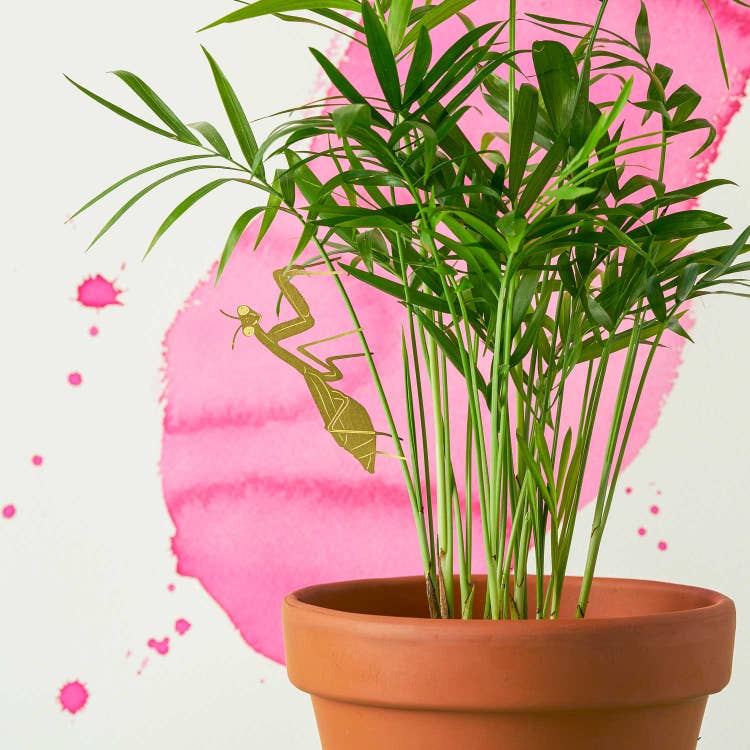 Brass Praying Mantis Planter Pot Decoration Accessory 