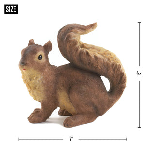 Curious Squirrel garden Statue with dimensions