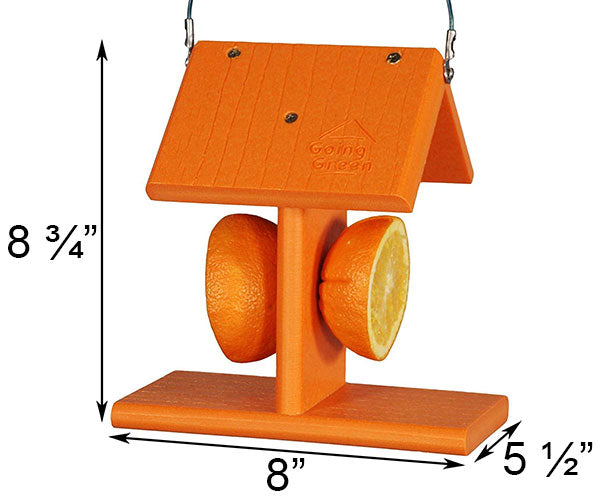 Going Green Recycled Oriole Feeder, Orange