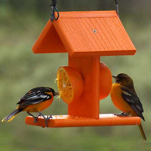 Going Green Recycled Oriole Feeder, Orange