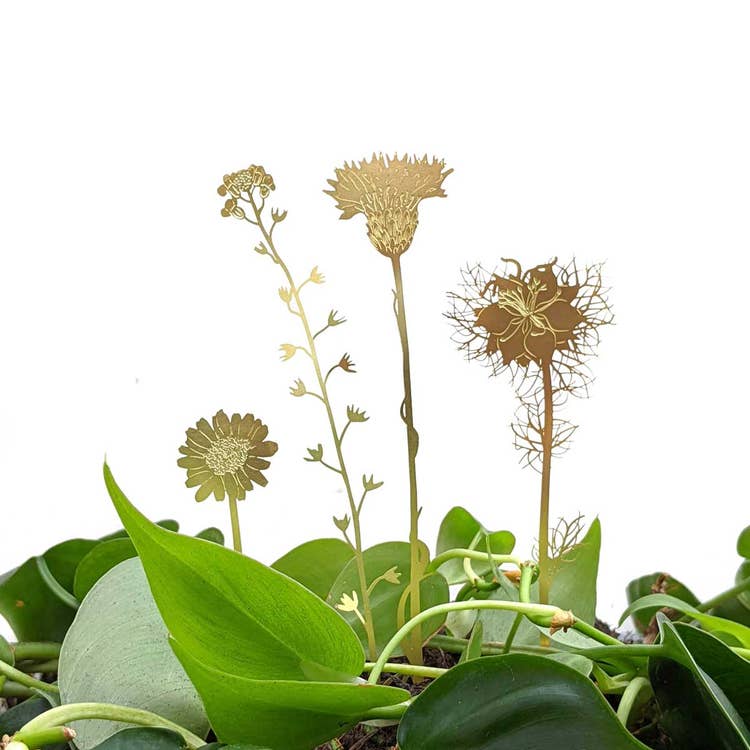 Brass Blooms Wildflower Plant Accessories