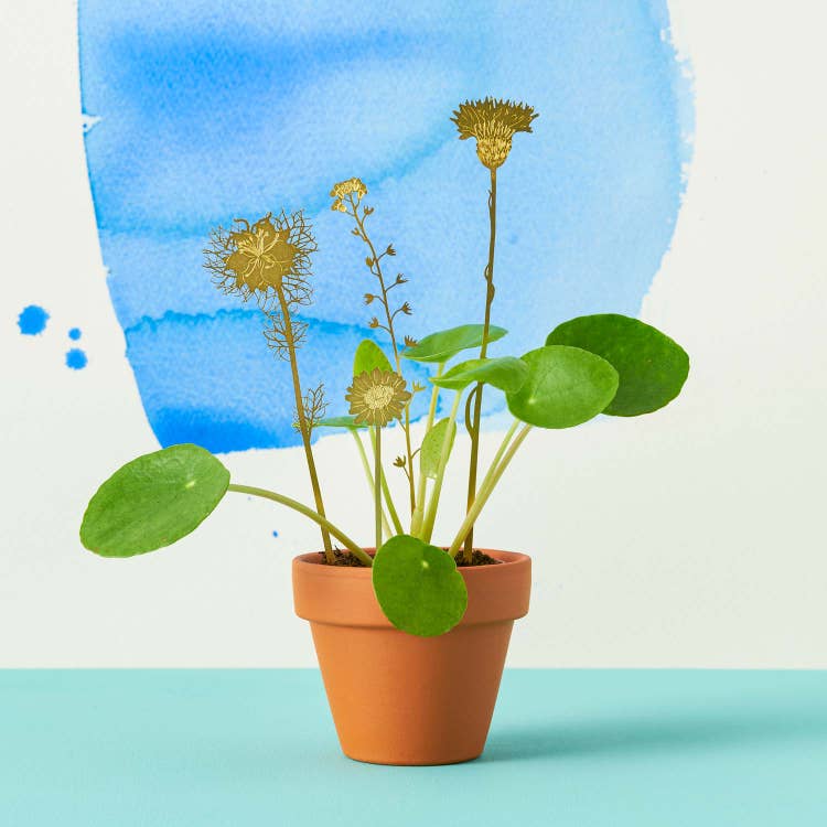 Brass Blooms Wildflower Plant Accessories