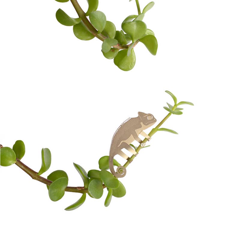 Brass Chameleon plant animal accessory