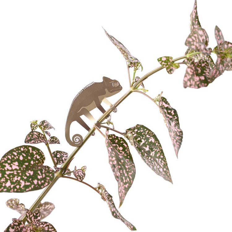 Brass Chameleon plant animal accessory