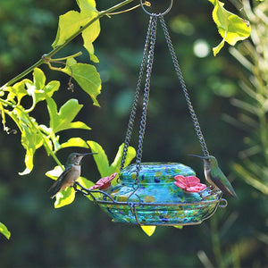 Glass Hummingbird Feeder with Solar Light outside with Hummingbirds