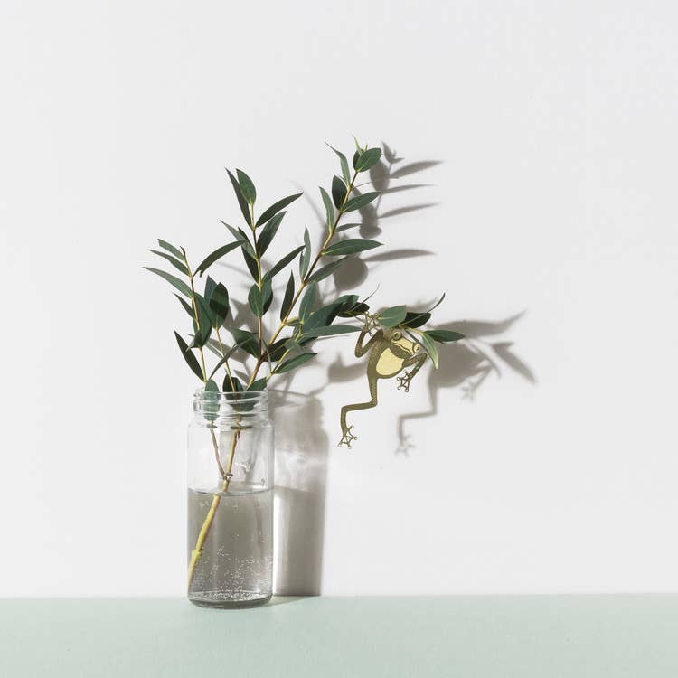 Brass Tree Frog Plant Animal Accessory