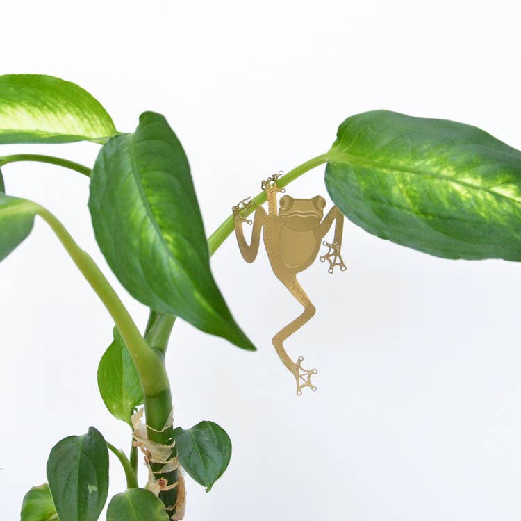 Brass Tree Frog Plant Animal Accessory